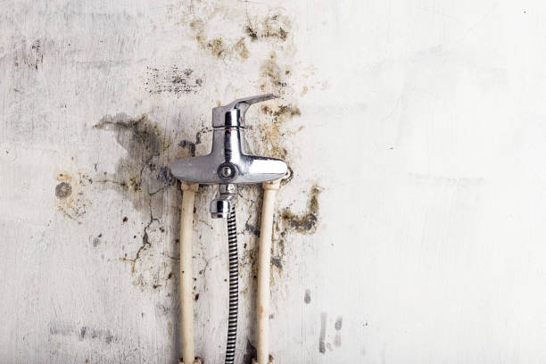 Best Industrial Mold Remediation in Lake Ridge, VA