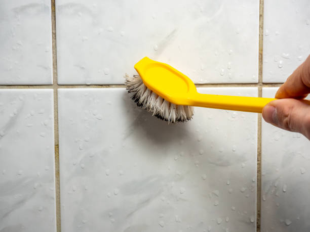 Best Preventive Mold Services in Lake Ridge, VA