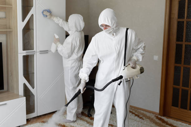 Best HVAC Mold Remediation in Lake Ridge, VA