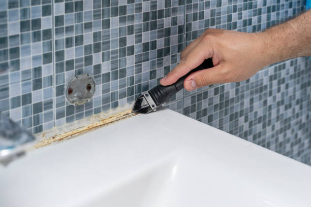 Best DIY Mold Remediation Support Services in Lake Ridge, VA