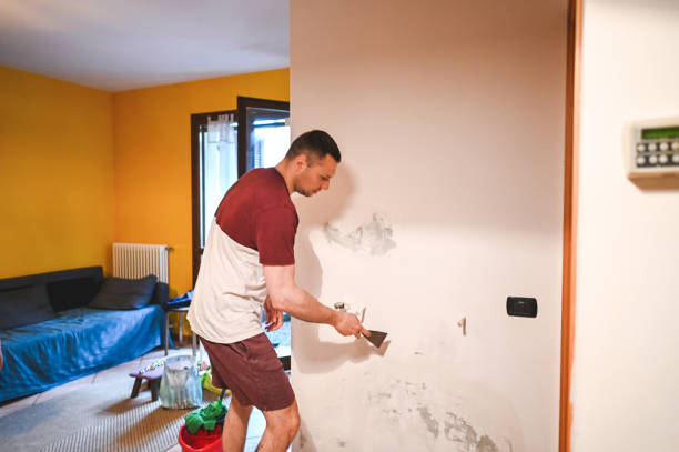 Best Localized Mold Remediation (e.g., coastal areas, humid climates) in Lake Ridge, VA